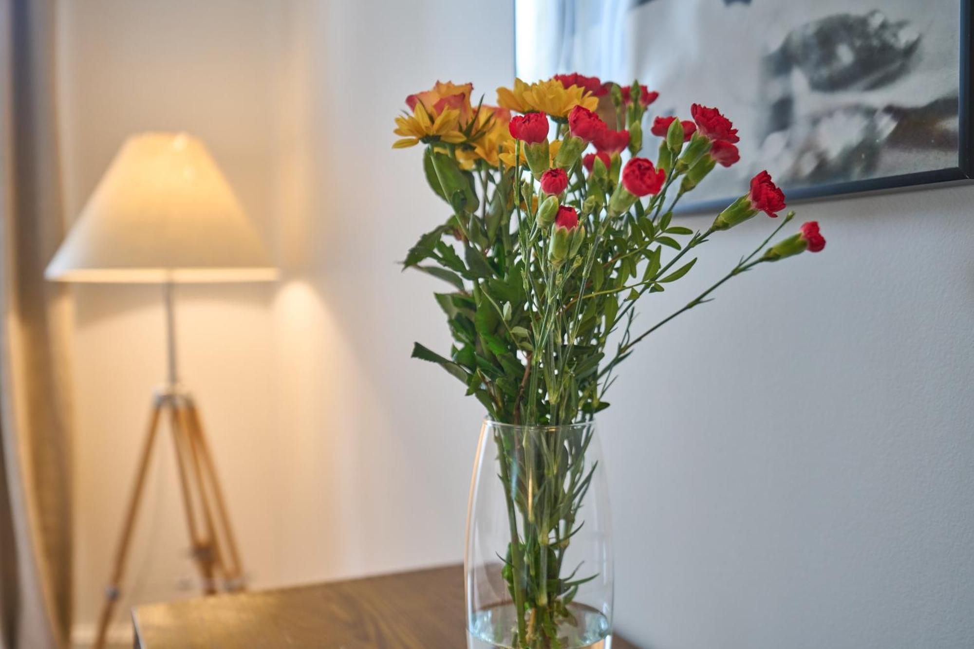 Les Appartements De La Cadene Saint-Émilion Eksteriør bilde